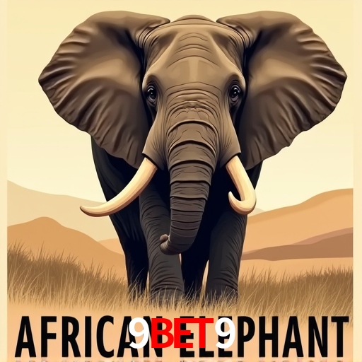 A Experiência Imersiva dos Cassinos Ao Vivo no 9bet9